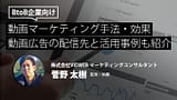BtoB企業における動画マーケティングの効果 | 動画広告の配信先・活用事例