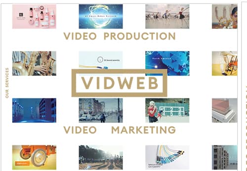 VIDWEB パンフレット